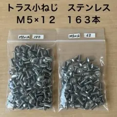 トラス小ねじ 十字穴付 ステンレス M5×12 163本