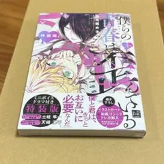 少女戎機(マリアチルドレン) 3巻 特典 COMIC ZIN イラストカード