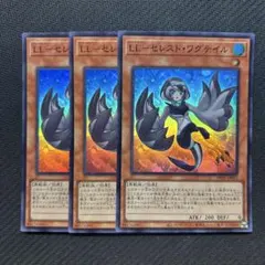 LLセレストワグテイル　スーパー　3枚