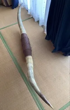 テキサスロングホーン 放送内容｜ルーツを歩こう｜KBC九州朝日放送