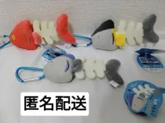 ぶるぶる!さかなのほね　３種セット