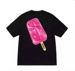 STUSSY Tシャツ