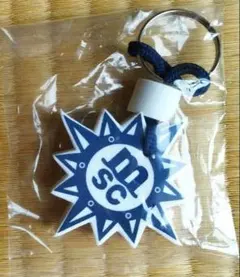 MSCロゴキーホルダー　クルーズ
