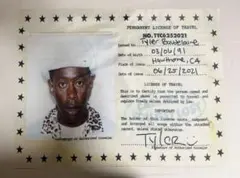 ⭐︎ Tyler, the creator ⭐︎ IGOR タペストリー　未使用