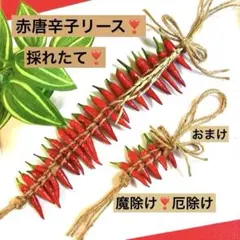 本日限定価格❣️超人気❣️赤唐辛子リース❣️魔除け厄除け❣️稲穂