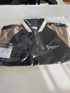 Item thumbnail for item a9e72158-3a43-4a4f-a88b-94dc3c651a8f