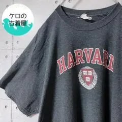 アンビル カレッジ Tシャツ グレー ハーバード US古着