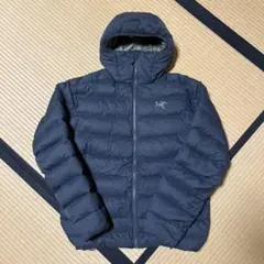 レアカラー　ARC'TERYX フード付きダウンジャケット L/G グレー