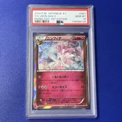 2026年最新】Pokemon Card Game シリーズ：XY／XYBREAK ポケモンカード