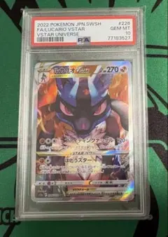 ポケカ　ルカリオ　Vstar psa10 PSA10鑑定済み】PK-S-P-305 ルカリオVSTAR | ポケモンカード,その他