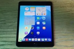 Apple iPad mini 第5世代 64GB Wi-Fi バッテリー89％