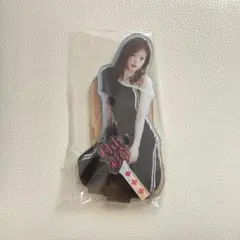 村山彩希 オリジナルアクリルスタンド 村山彩希 AKB48 卒コン ランダム アクリルスタンド 8種コンプ