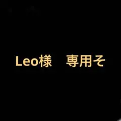 Leo様　専用そ