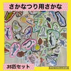 Item thumbnail for item 32d9720d-fb43-40c5-b970-5c0f5a94623a