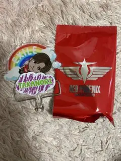 Item thumbnail for item 5b24a321-063b-4303-b089-9f2c0d135ffe