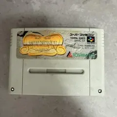 Nintendo スーパーファミコン　ソフト　サイバリオン