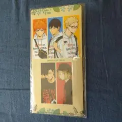 【新品未使用】ハイキュー‼︎ 東武動物公園　チケットファイル