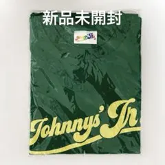 2026年最新】わっしょいCamp tシャツの人気アイテム - メルカリ