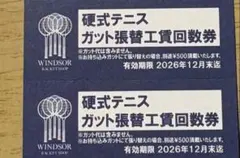 ウィンザーテニスラケットショップ 硬式テニス ラケット ガット張り 2回分