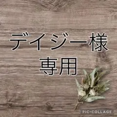 【デイジー様専用】おまとめ購入