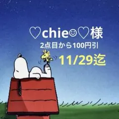 ♡chie☺︎♡2点目から100円引様 専用ページ