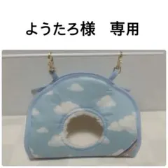 雲テント（ようたろ様専用）