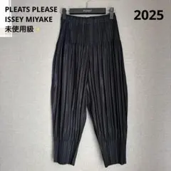 2025年最新】PLEATS PLEASEの人気アイテム - メルカリ