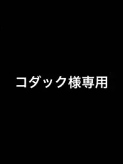 コダック様専用商品のサムネイル