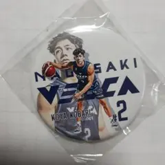 FREEDOM NAGOYA 2025 缶バッジ ガチャサバシスター - メルカリ