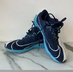 最終お値下げ！NIKE ズーム ライバル フライ 2