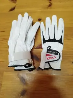 キャスコ KASCO パッケージレスグローブ 4枚セット 21cm