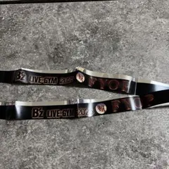 B'z LIVE-GYM 2025 FYOP バンテリンドーム銀テ