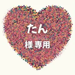 たん 様　専用ページ