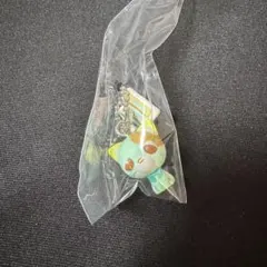 チョコボーロ　お茶犬　ソー