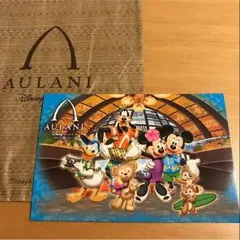 ハワイ ディズニー