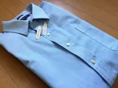 TOMMY HILFIGER 長袖コットンシャツ 青緑マイクロストライプ　XL