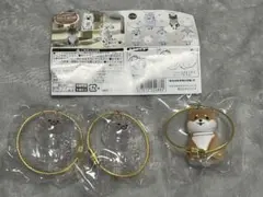 【未開封】わんこのタイムカプセル ラテ2個 まめ1個 セット