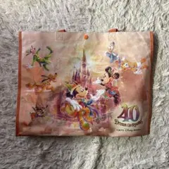 ディズニーランド ショッピングバッグ