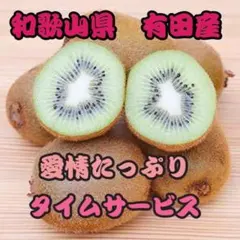 3 和歌山県 有田産 国産キウイフルーツ 箱込み1kg以上