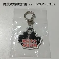 2026年最新】ハードゴア・アリスの人気アイテム - メルカリ