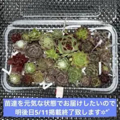 かばこ様 リクエスト 2点 まとめ商品