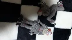 Item thumbnail for item 93e4bbea-18fa-4741-a1ae-03e054e3d210