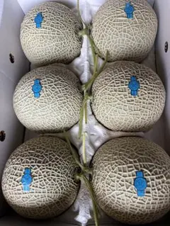 静岡 アールスメロン 白5玉 隔離栽培 アローマ マスクメロン - メルカリ