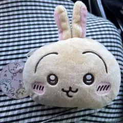 ちいかわ ぬいぐるみパスケースポーチ➁うさぎ