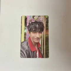 ドギョム 昼 花冠