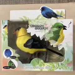 Music Bird センサー付き 童謡6曲  鳴き声6パターン