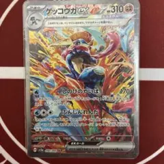 ゲッコウガ SAR 状態◎美品