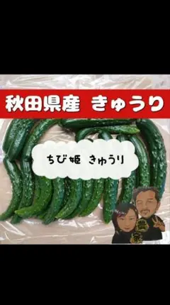 秋田県産 ちび姫 きゅうり 1kgのサムネイル