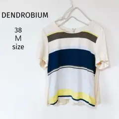 DENDROBIUM 半袖カットソー　Tシャツ　チャック付　Ｍ　38 綿100%