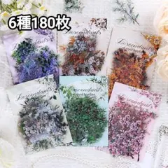 Item thumbnail for item 5890390c-d45e-4761-a5c4-d66325b4a1cc